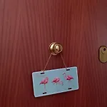 Flamingo Seaviews
