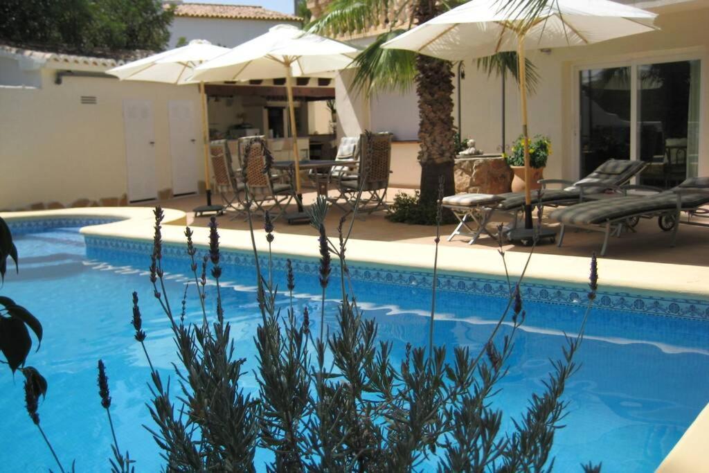 Casa Sobre El Mar, A Beautiful Oasis 1000m From Beach Apartment *