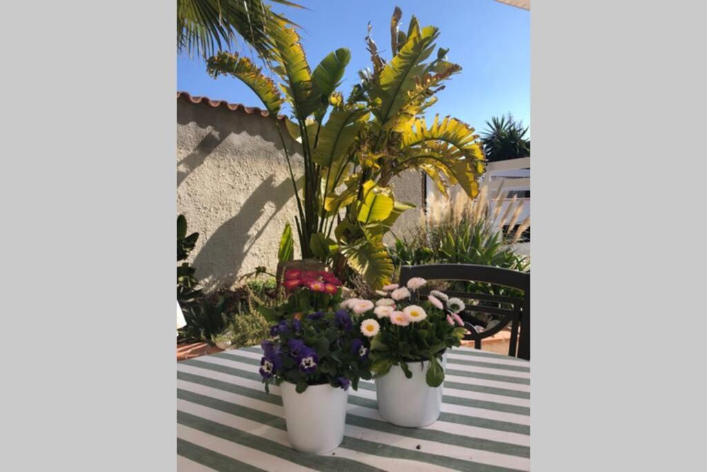 Apartment Casa Sobre El Mar, A Beautiful Oasis 1000m From Beach