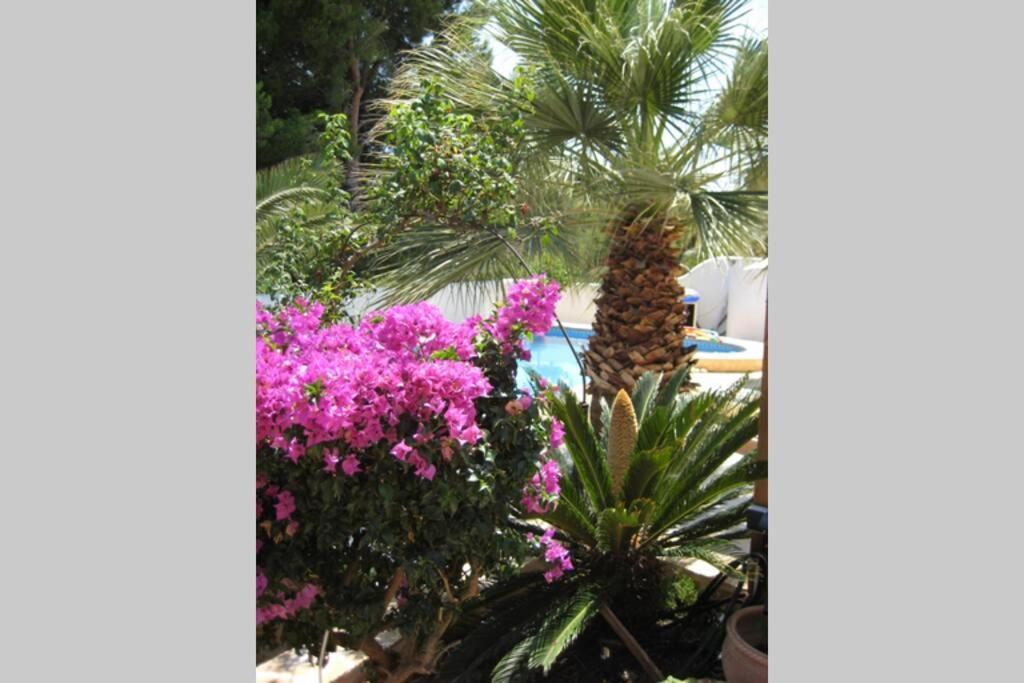 Casa Sobre El Mar, A Beautiful Oasis 1000m From Beach * Calpe