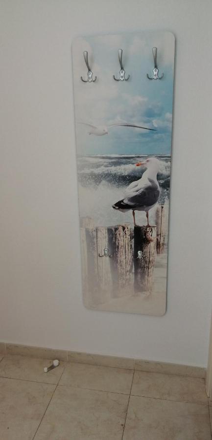 Apartamento Amatista 110