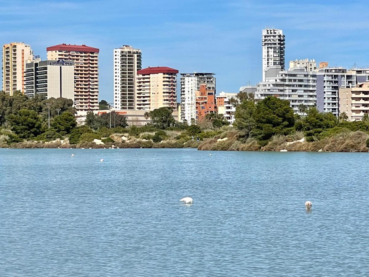 Apartamento 2 Bedrooms In Larimar *