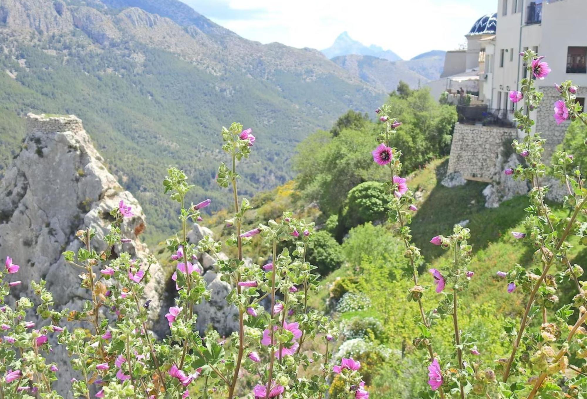 Casa Ronnie Сasa de vacaciones