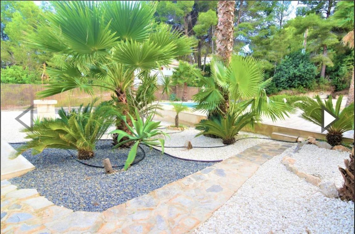 Villa Casa El Mirador