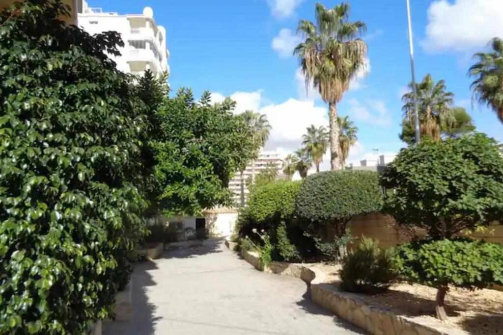 11a Ll 2 Dor Parking Wifi Y Vistas Al Mar Apartamento