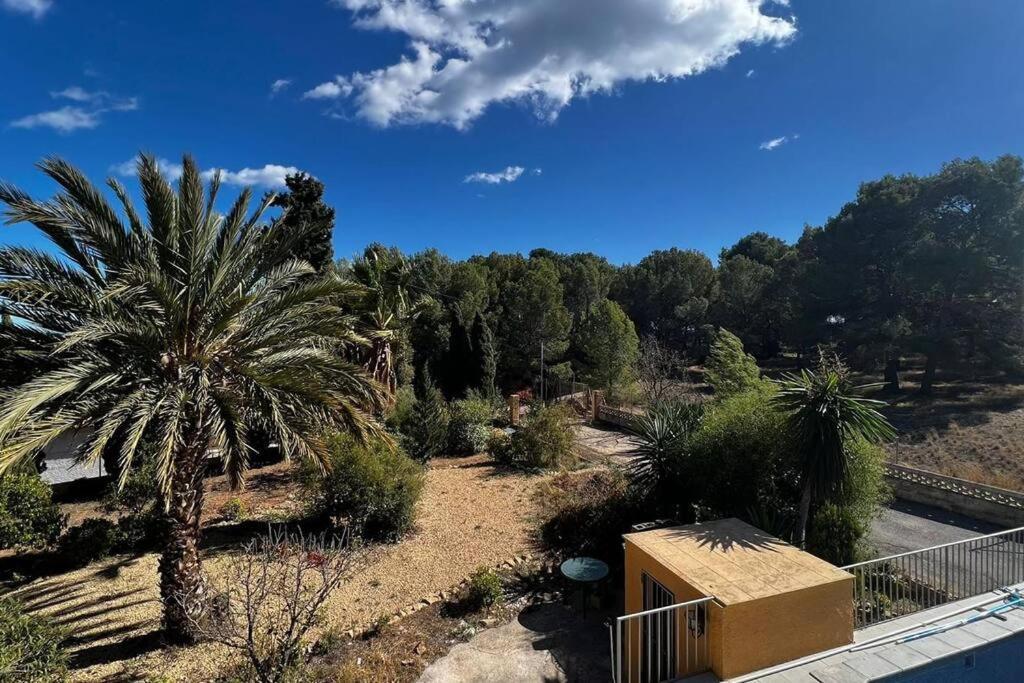 Con Piscina Privada Apartamento Calpe
