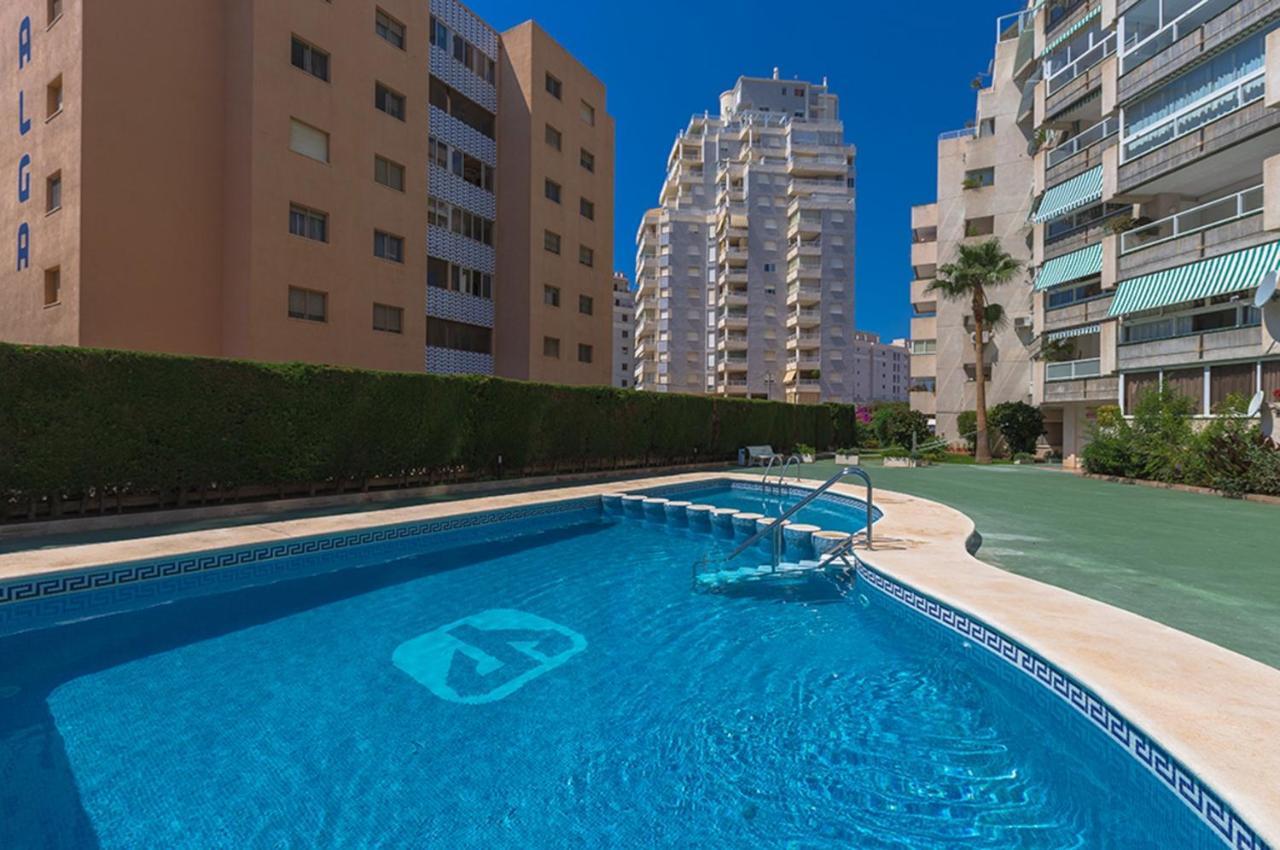 Guzman - Apolo Xi * Calpe