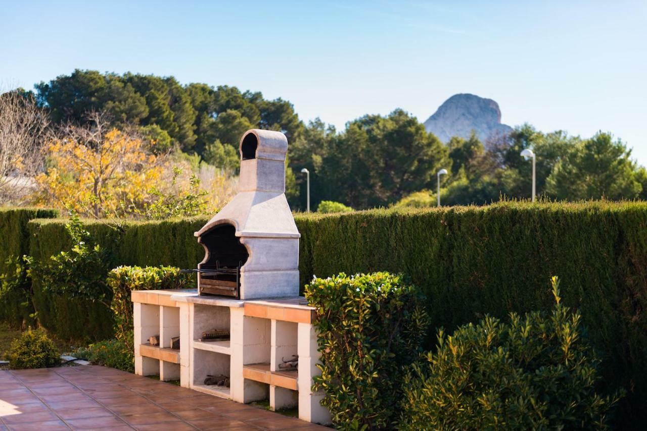 Roig Calpe