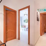 Tucan, Comodo, Bonito, Centrico