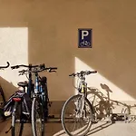 Pisito Rico