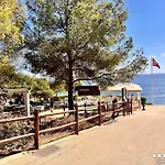Vh Costablanca - Golondrina