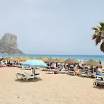 Atlantico Flamingo