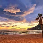 Atlantico Flamingo