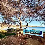Apartamento Mateuet