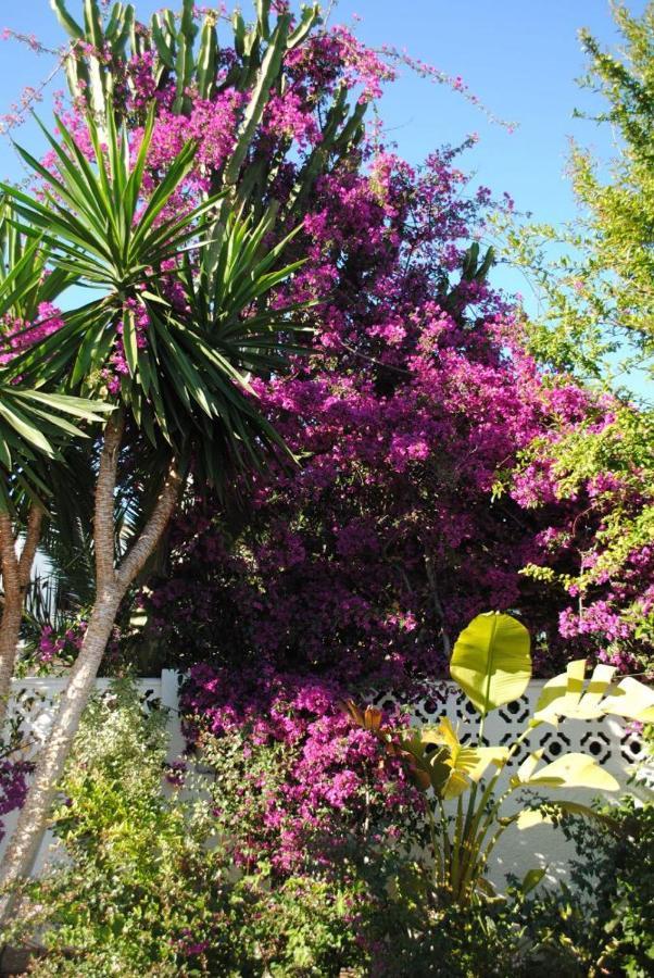 Villa Limasol - Costa *