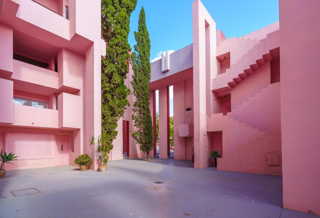 Coral In Muralla Roja *