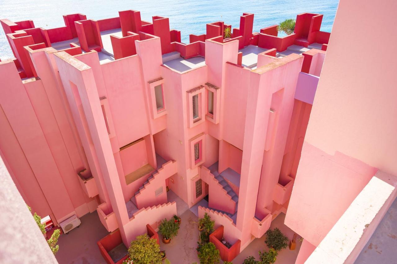 Coral In Muralla Roja Calpe