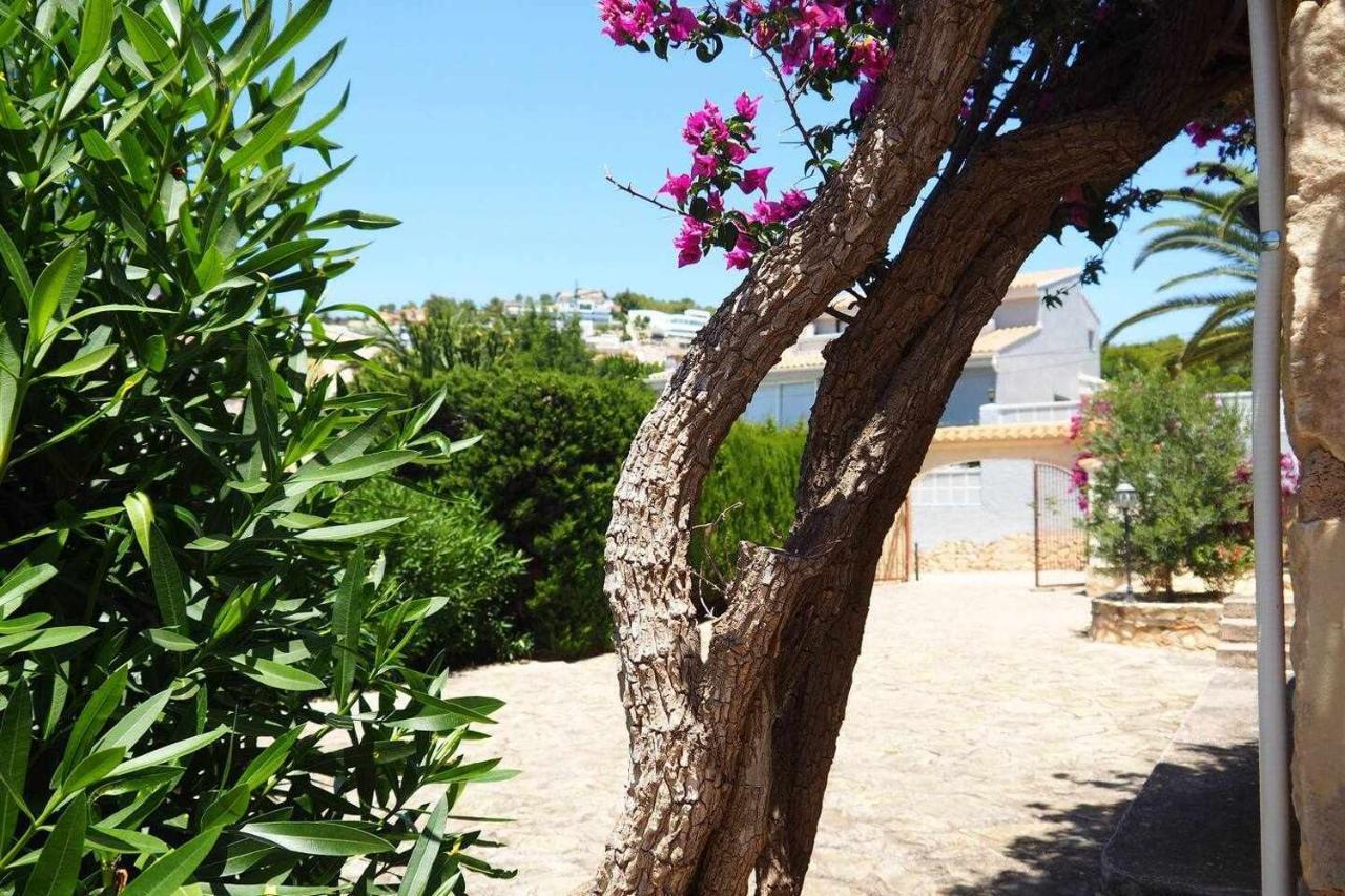 Villa Relax En Independiente Con Piscina De 11mx5