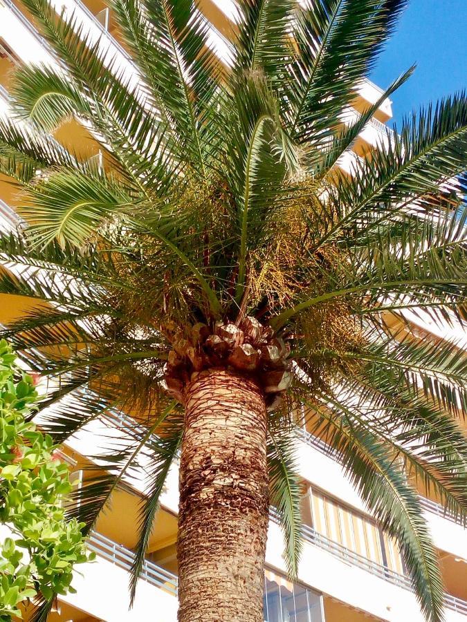Voramar * Calpe
