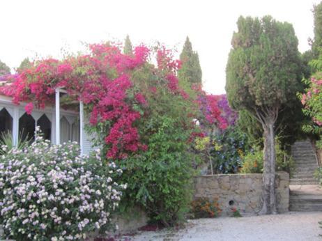 Sol Y Penon Holiday home *