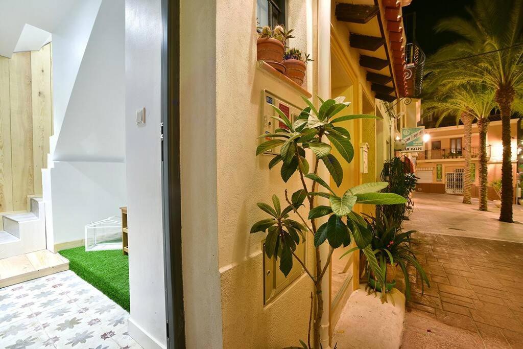 Charmante Maison Indépendante Dans Le Vieux