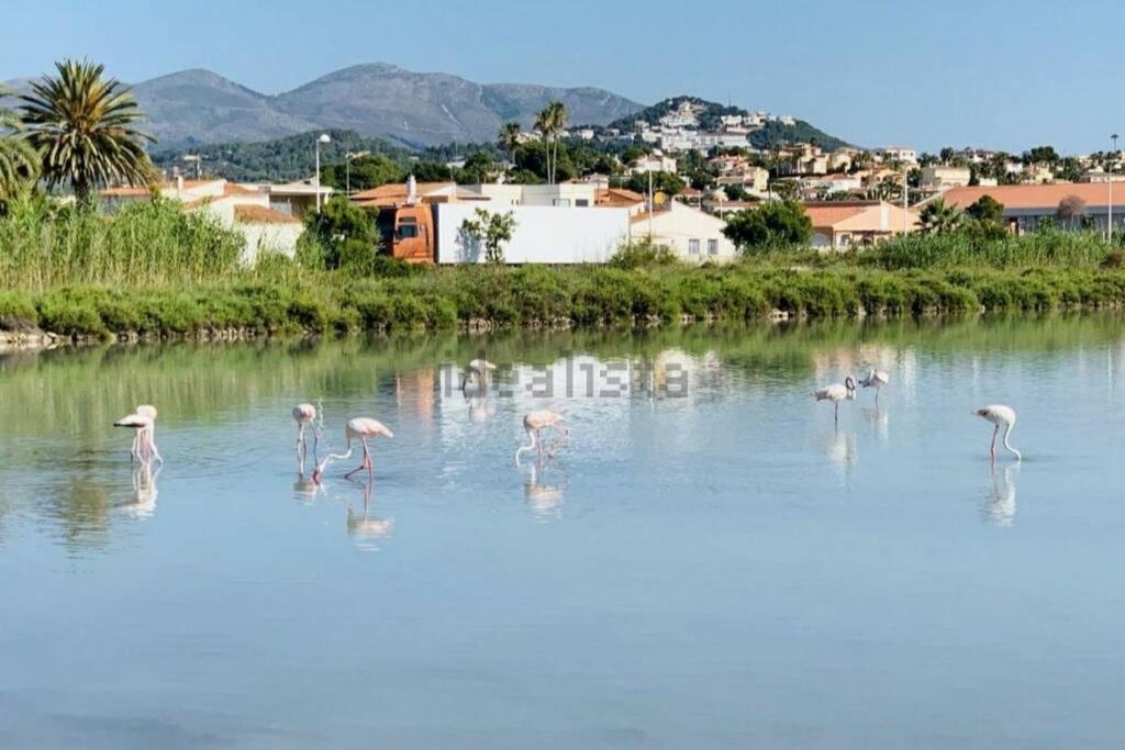 Apartamento Tu Hogar En A 30 Metros De La Playa!!!