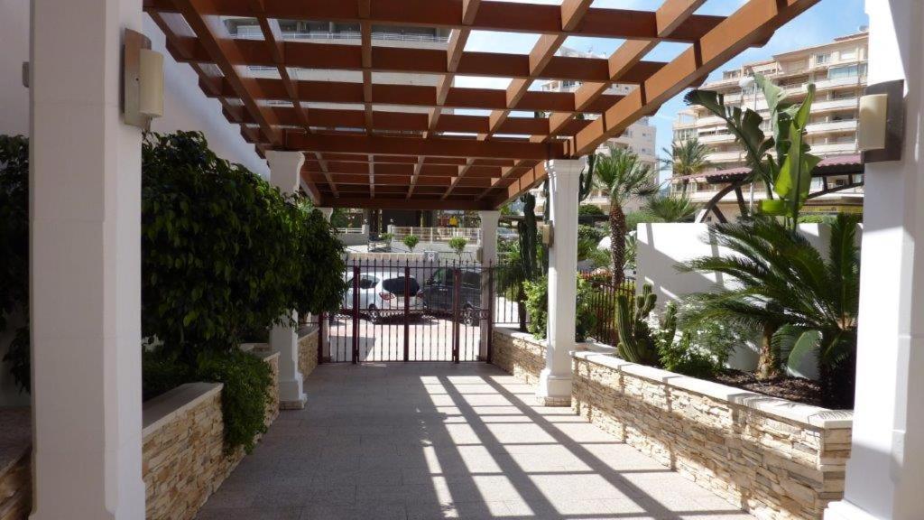 Playa De Oro C Apartamento *
