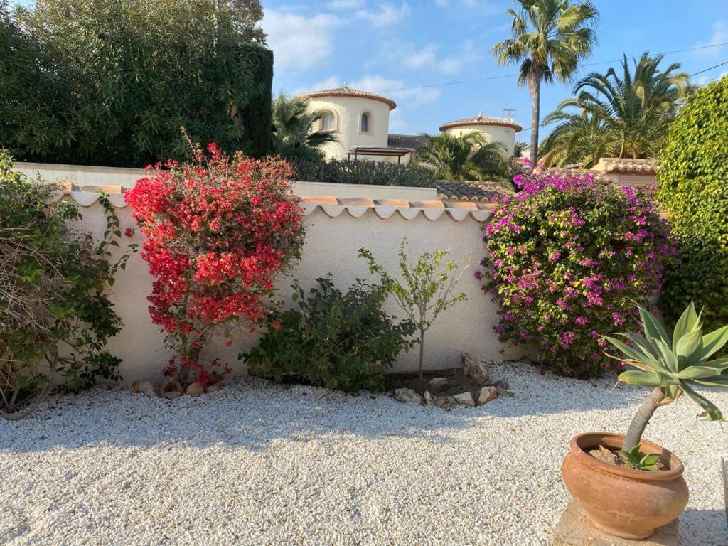 The Villa Calpe