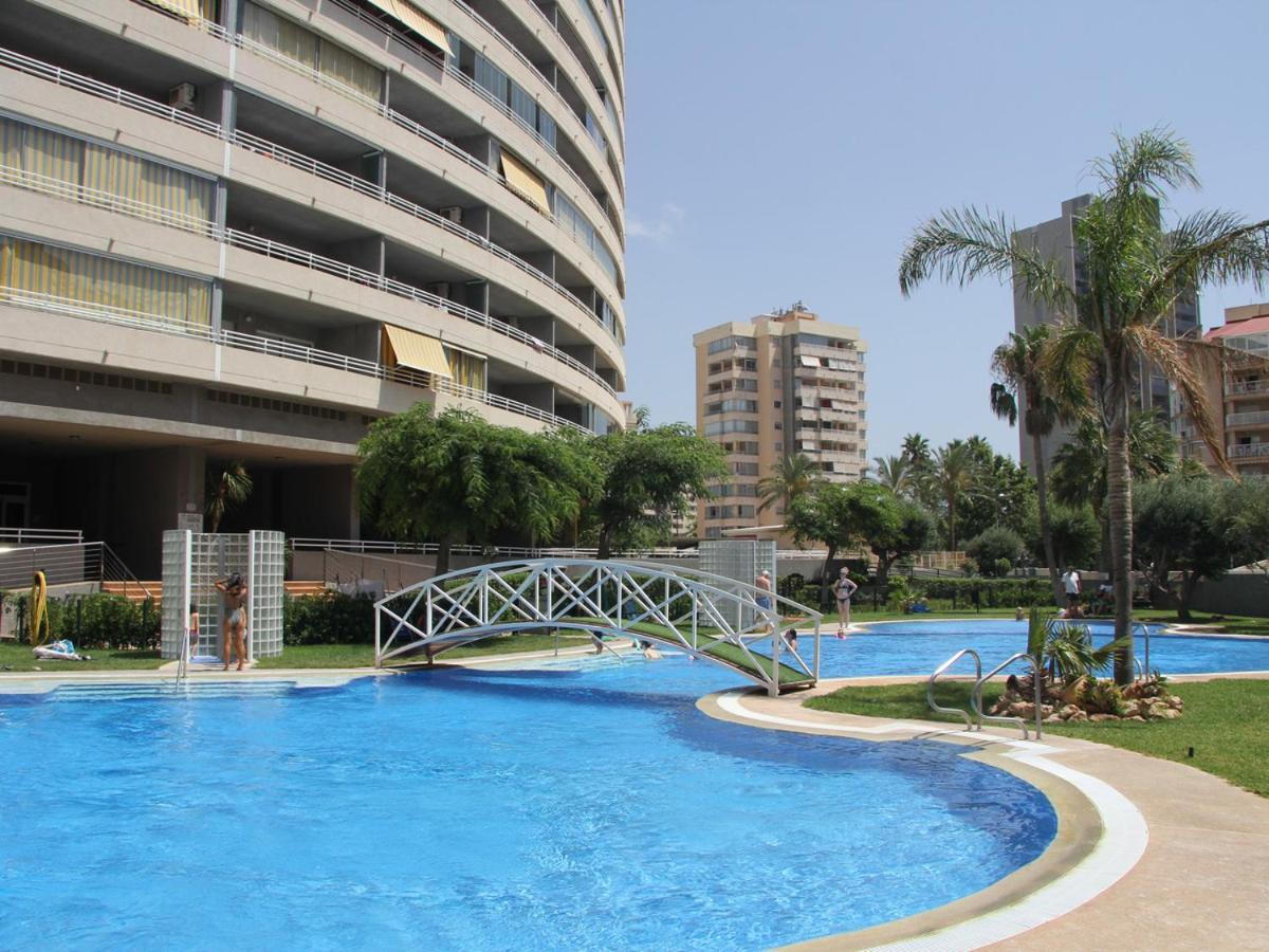 Homeincalpe Apolo Xiv *