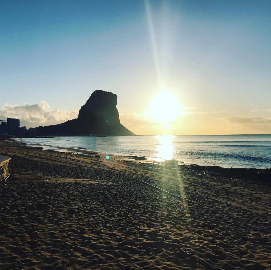 51b Apto Primera Línea De Playa Apartamento *
