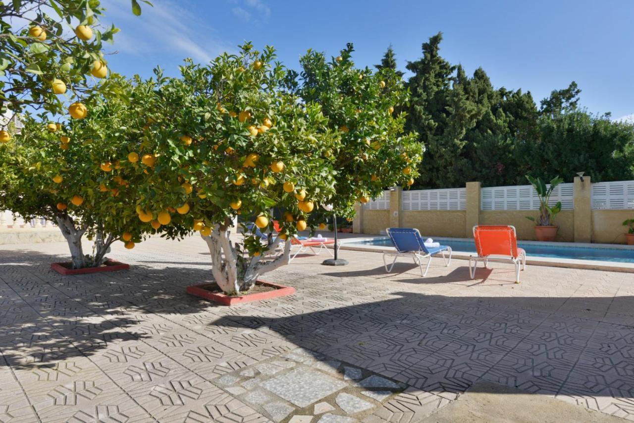 Guzman Ismael Villa Calpe