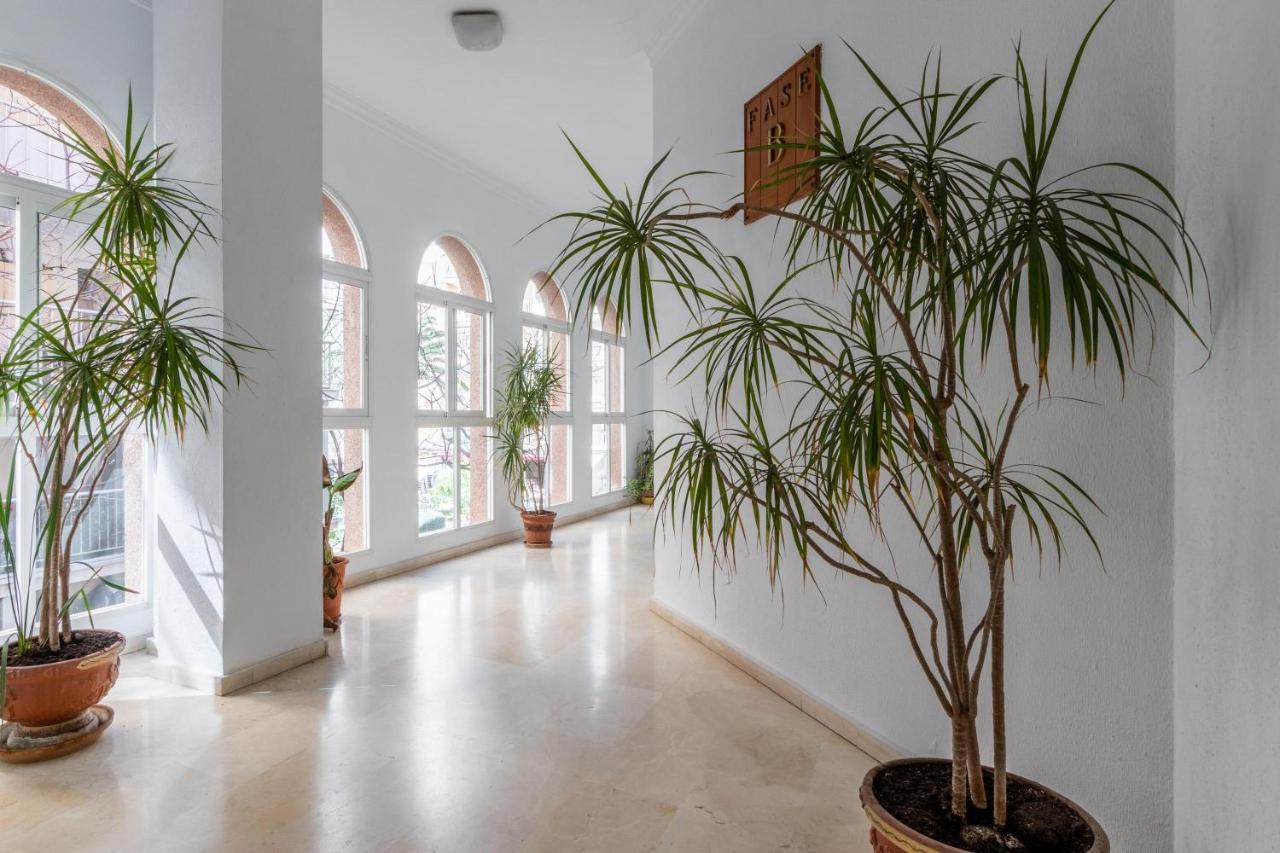 Perlamar Apartment
