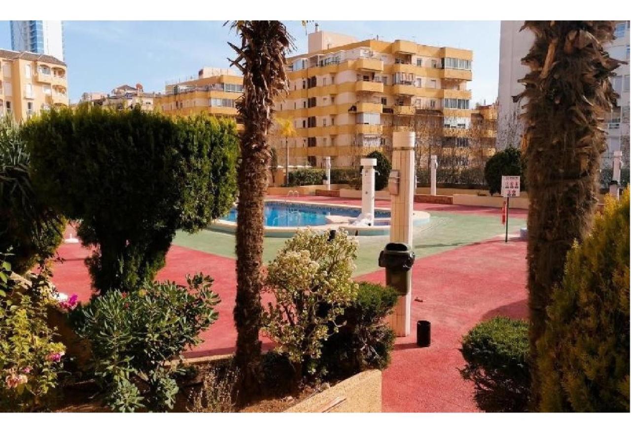 Apartment Apolo Vii 7-1º-11 *