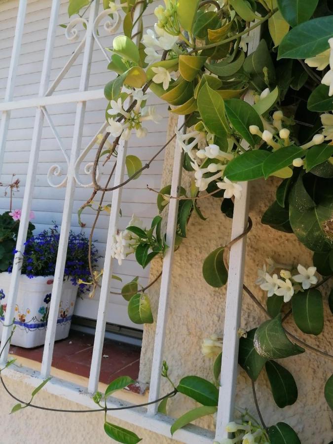 Claro Que Si Casa Feliz Сasa de vacaciones Calpe