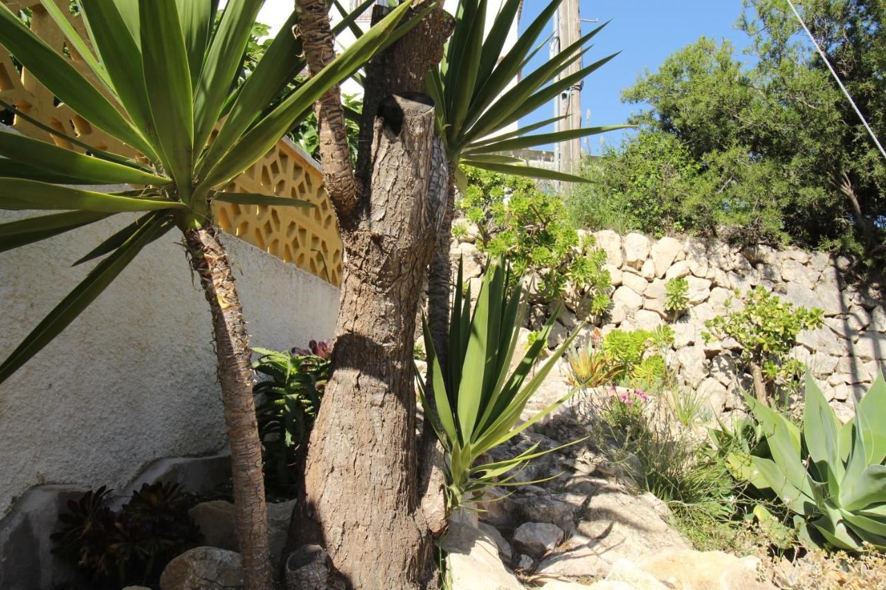 Villa Nailencia *