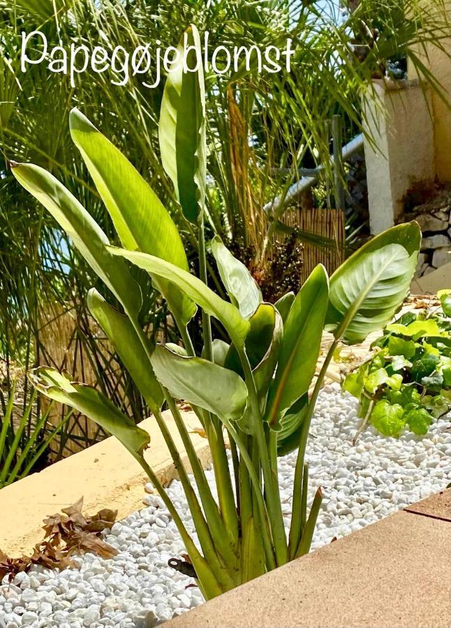 Villa Maryvilla Amazing Sea View Villagranto