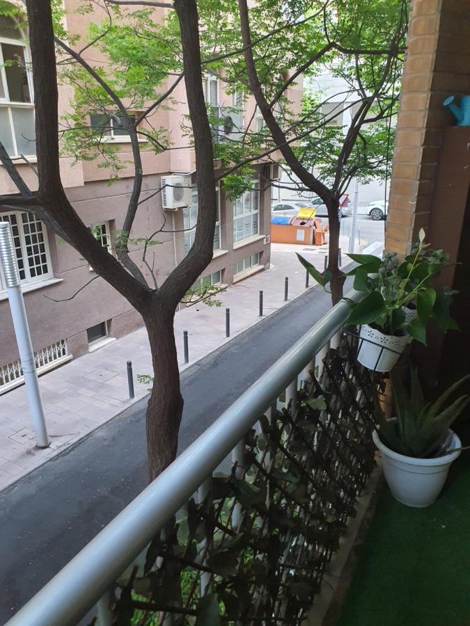 Apartamento Delfin, 40 Metros De La Playa