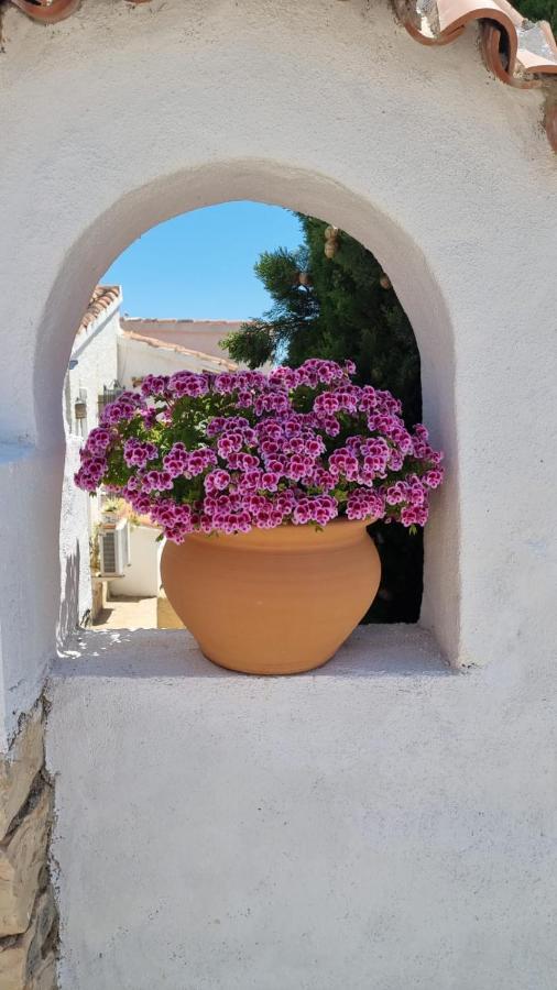 Bed & Breakfast El Rincon De La Quinta *