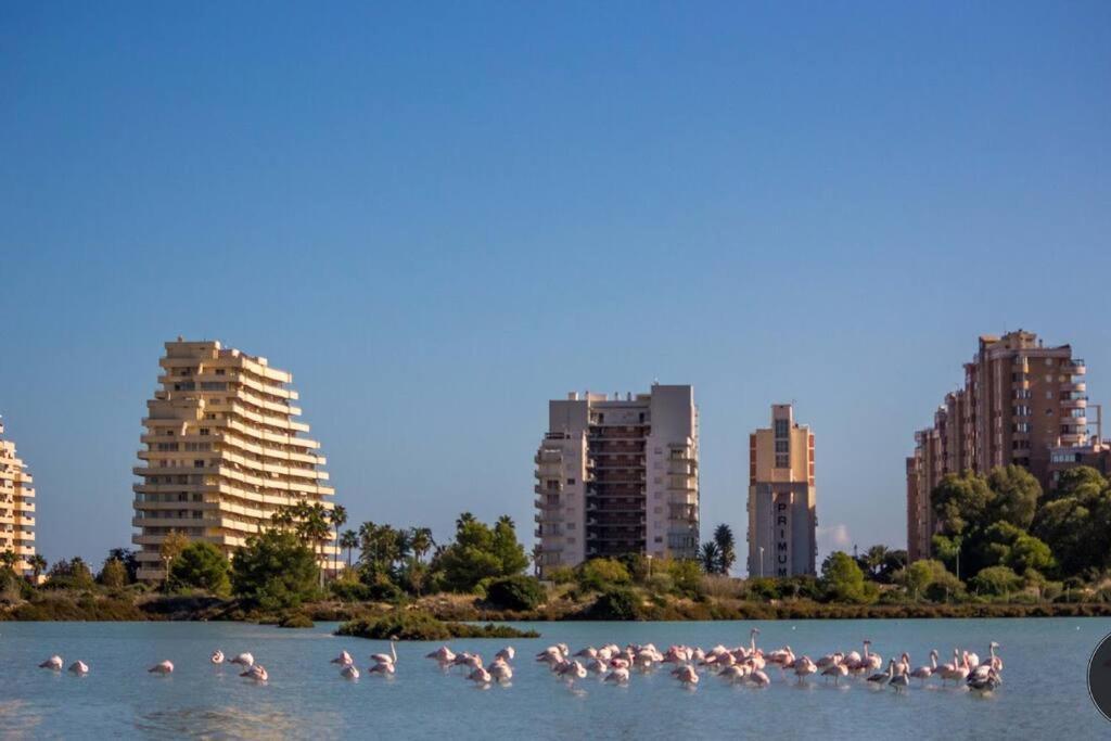 Apartamento Port