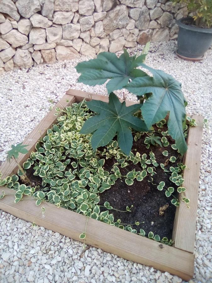 Holiday home Casa Carmen *
