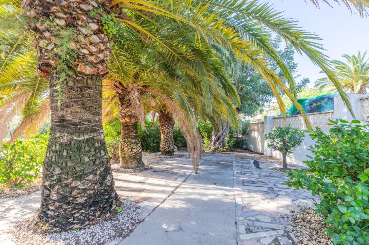Villa W Pool Seaview In Cometa *