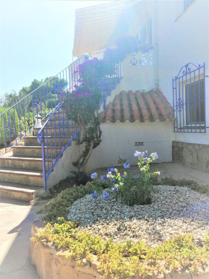 Vista Apartment