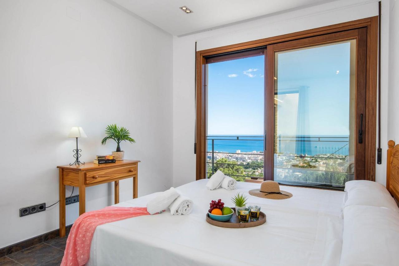 Anis Calpe