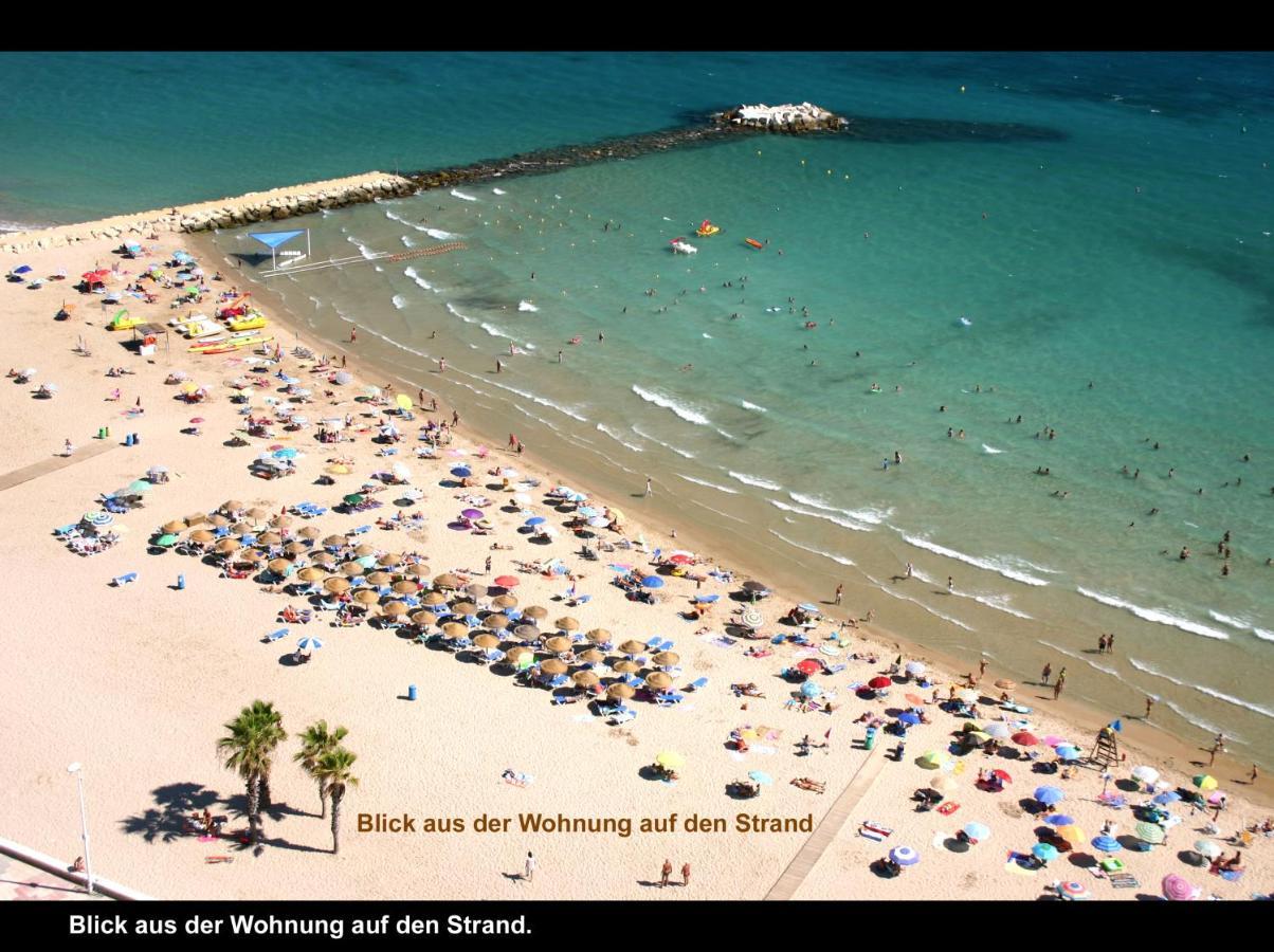 Penthouse Amatista Apartment *