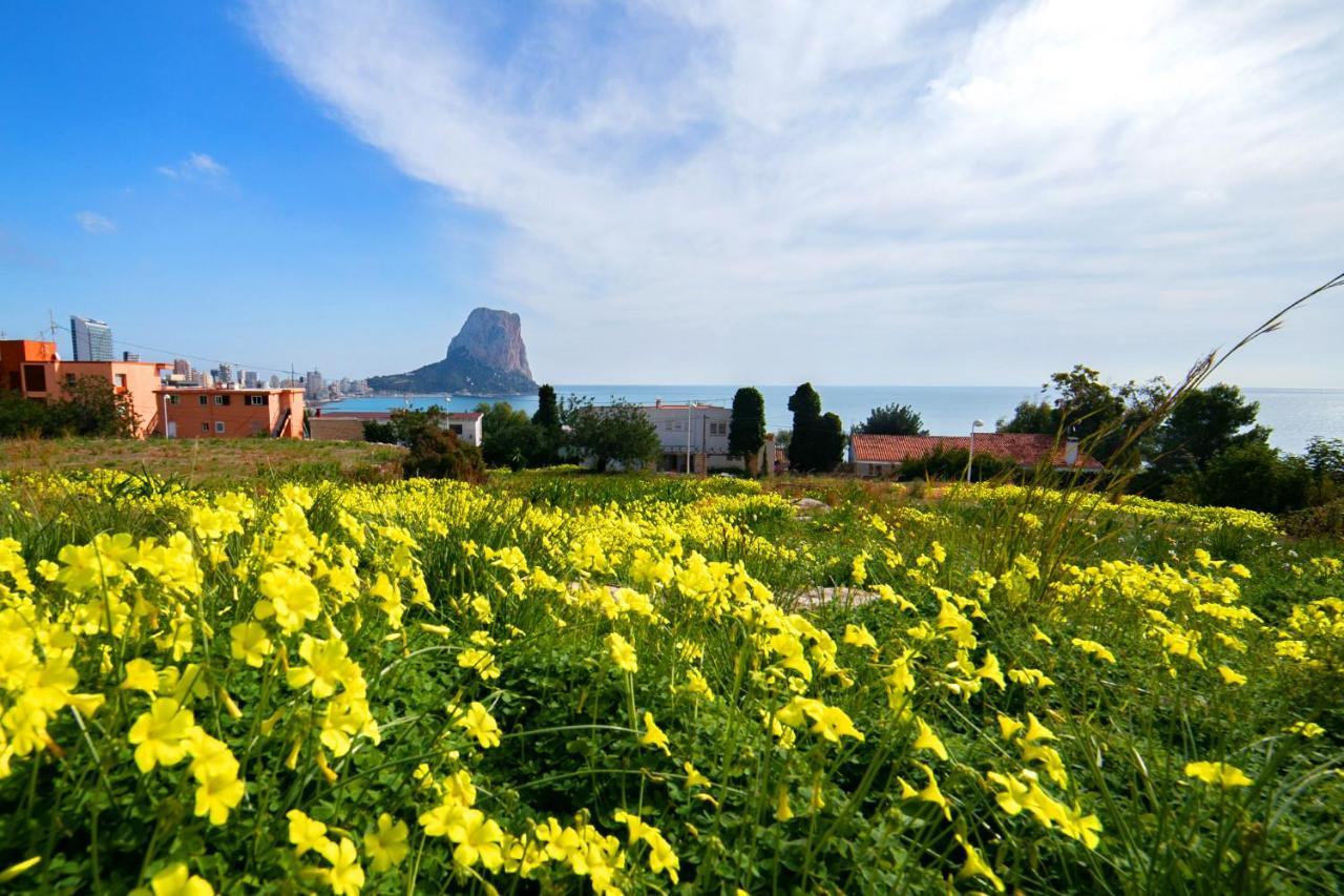 Homeincalpe Borumbot Calpe