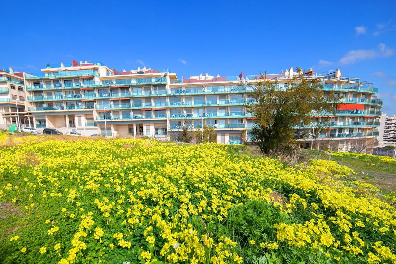 Homeincalpe Borumbot *