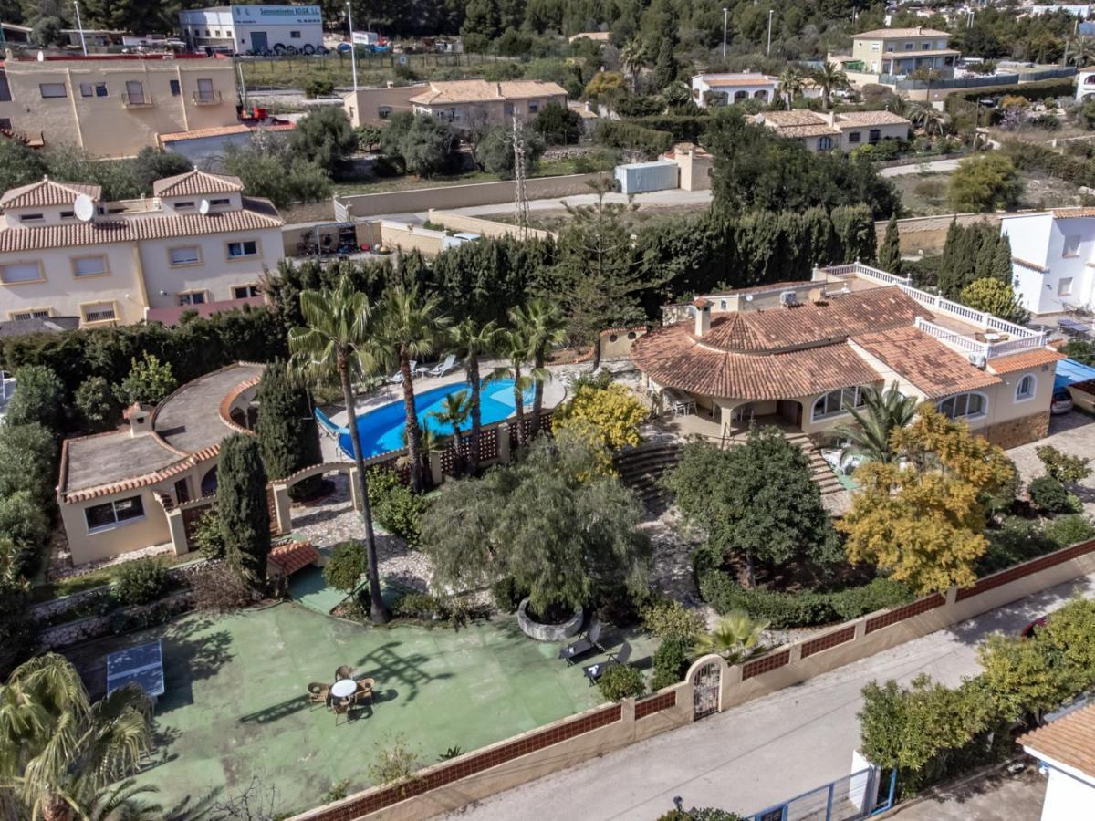 Guzman - Xenia Calpe