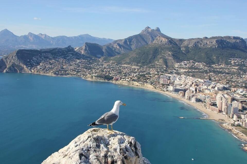 Apartment Arenal 6 - Plusholidays Calpe