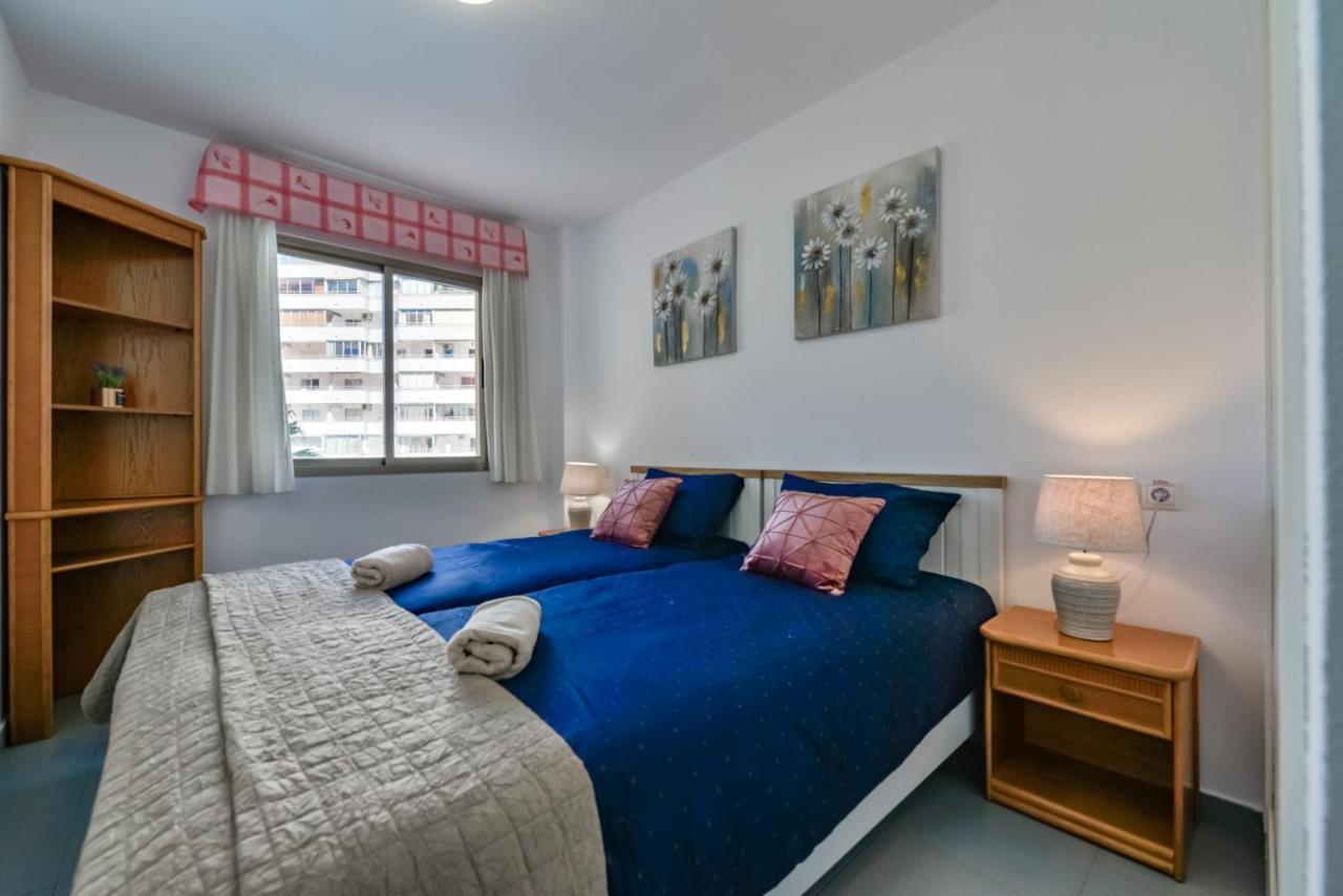 Hipocampos En Apartamento