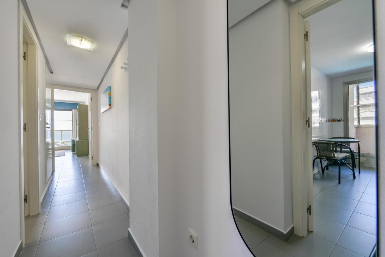 Hipocampos En Apartamento Calpe